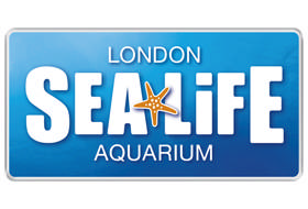 SEA LIFE makes Thames Tideway Gallery accessible and fun